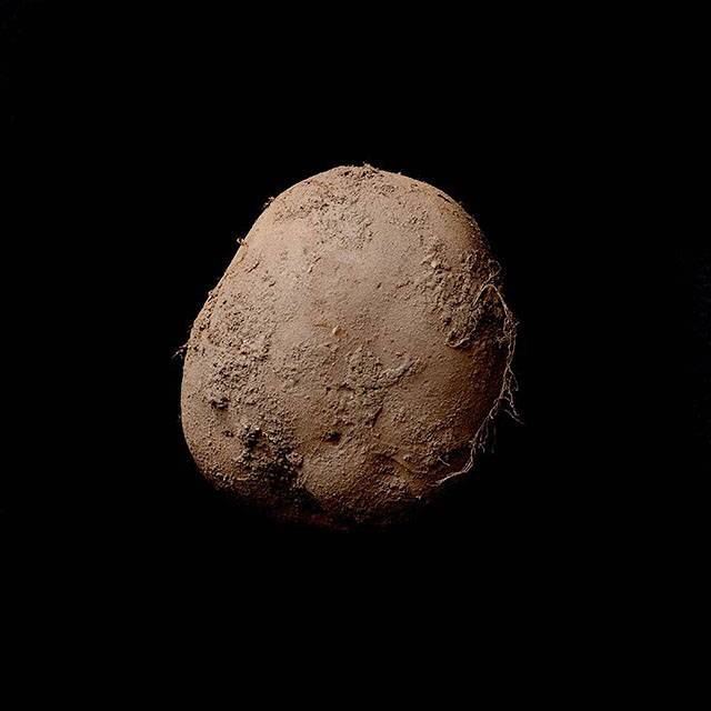 Lo scatto di una patata venduta per un milione di dollari