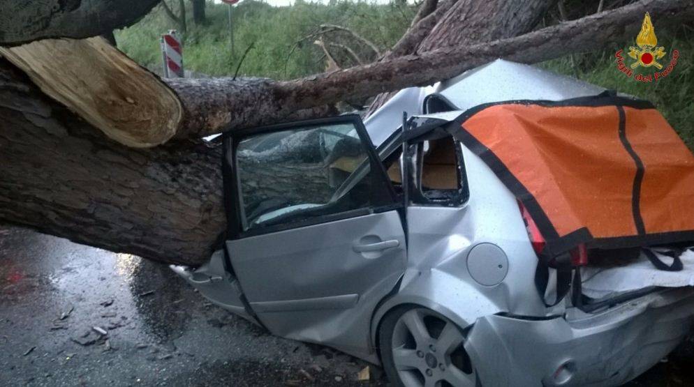 Roma, albero cade su un'auto: due morti e un ferito