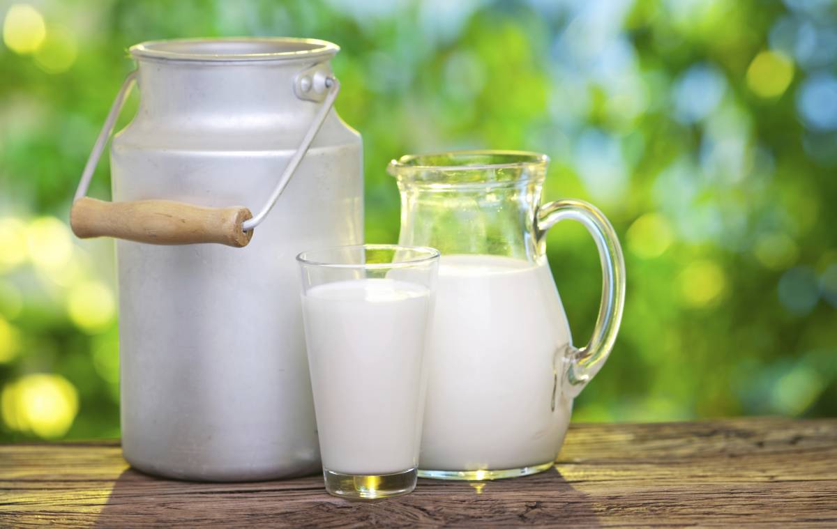 Allarme tossine nel latte ​Ritirati più di 30mila litri