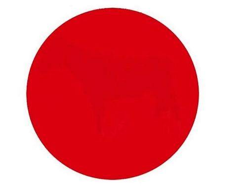 Bandiera del Giappone? No, pochi riescono a vedere cosa c'è dentro