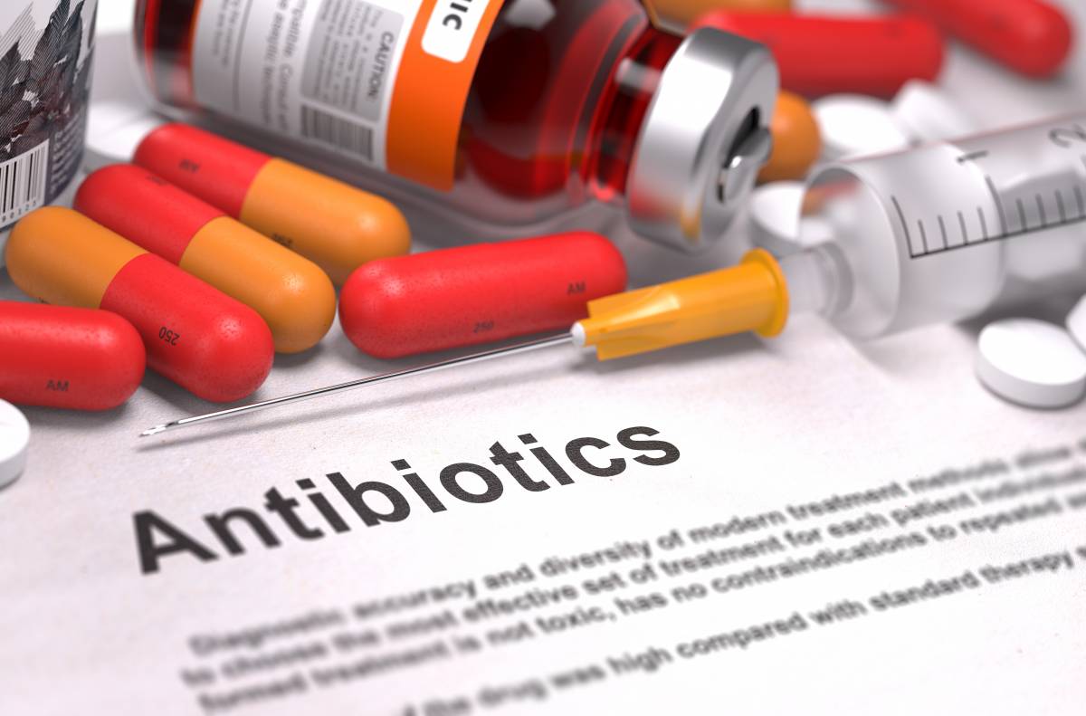 Perché ora i batteri sono più resistenti agli antibiotici