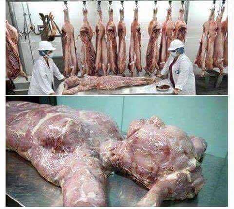 La finta immagine, diffusa in rete, del "macello" cinese di carne umana: si tratta di un falso