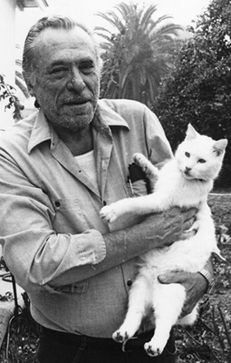 Bukowski, il ribelle che lisciava il pelo ai gatti e alla poesia