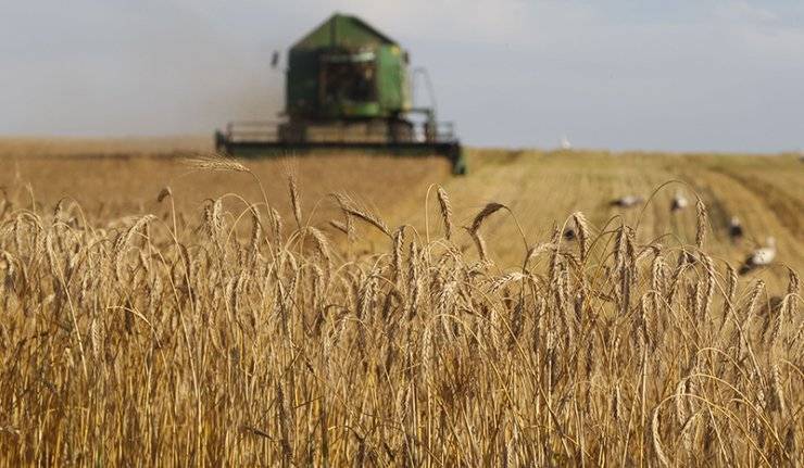 Ricerca made in Puglia per aiutare i celiaci