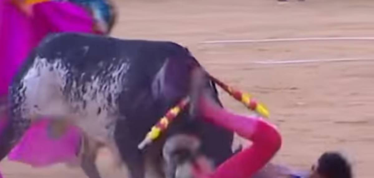 Spagna, corrida fatale. Torero muore nell'arena. Non succedeva dal 1992