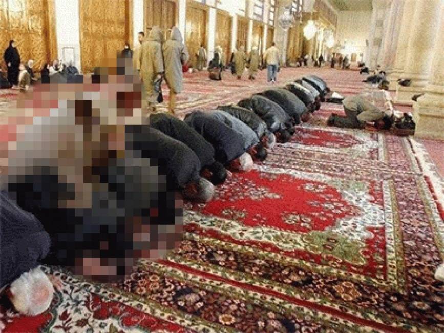 Maiale "sodomizza" islamici. Bufera sulla foto su Facebook