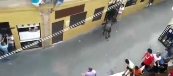 Spagna, donna uccisa da un toro davanti al marito e ai figli