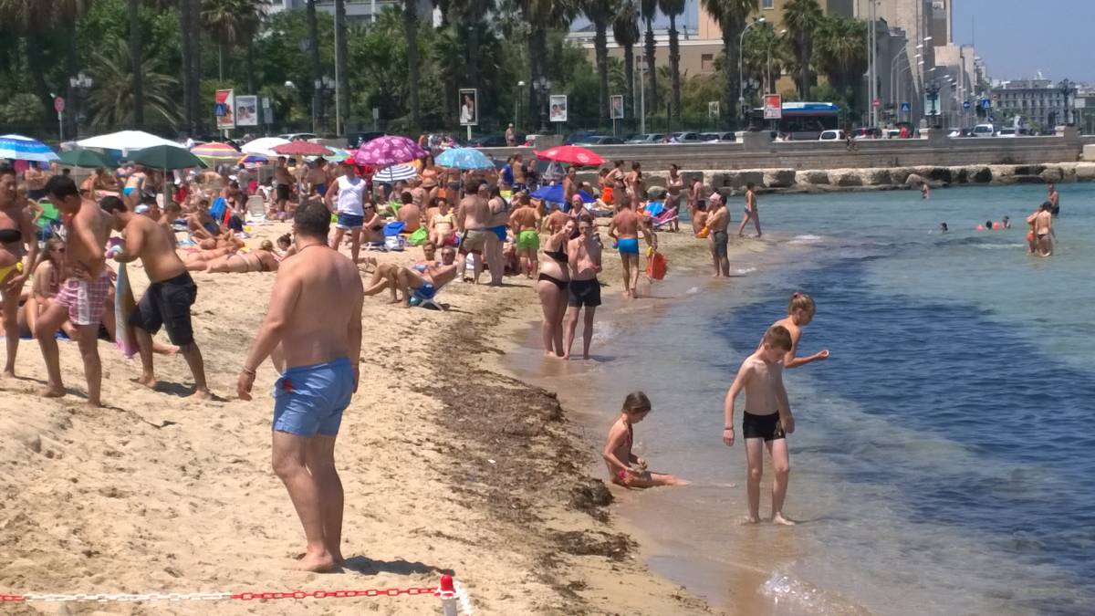 Allarme alga tossica in Puglia: sempre più città a bollino rosso