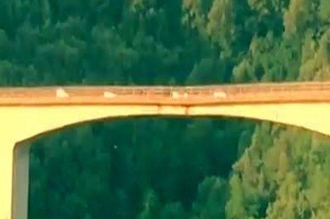 L'allarme sui social: "Il ponte di Celico sta crollando"