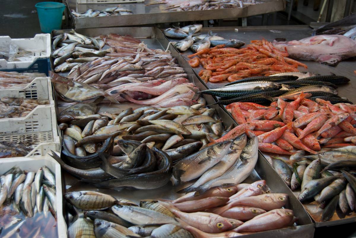 Crolla prezzo del pesce: "Il settore è a rischio"