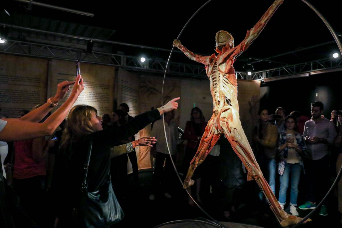 Roma, svenimenti alla mostra "Real Bodies": via le sospensioni