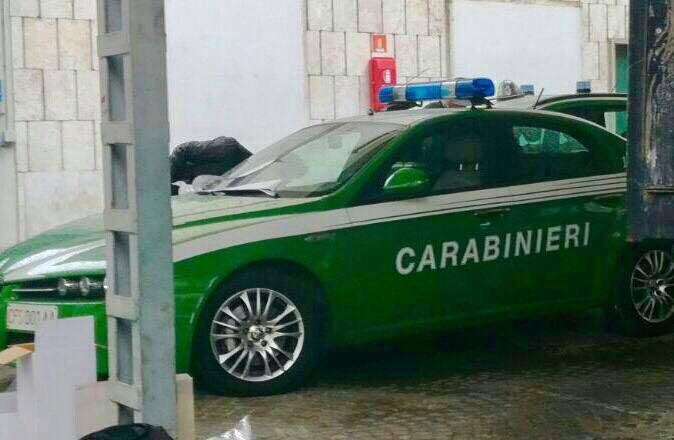 La rivoluzione nei carabinieri: ecco le auto verdi per i forestali