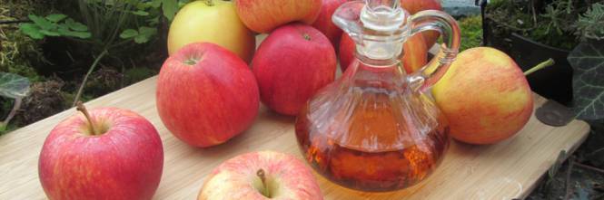 Xylella, produttori trentini sul piede di guerra: esportiamo meno mele per colpa degli ulivi pugliesi