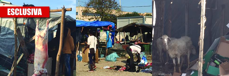 Il campo profughi di Rosarno un macello pagato dallo Stato