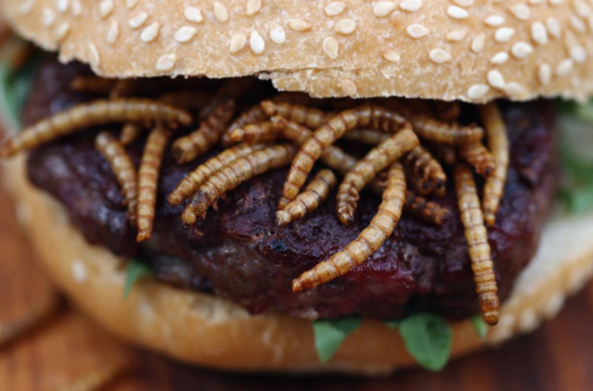 Arrivano gli hamburger di insetti. È rivoluzione nei supermercati