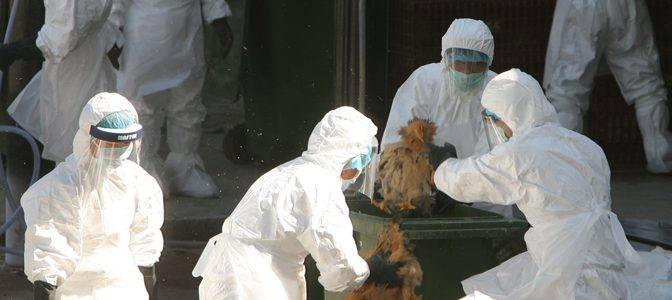 È allarme pandemia: dalla Cina l’influenza che può uccidere ovunque