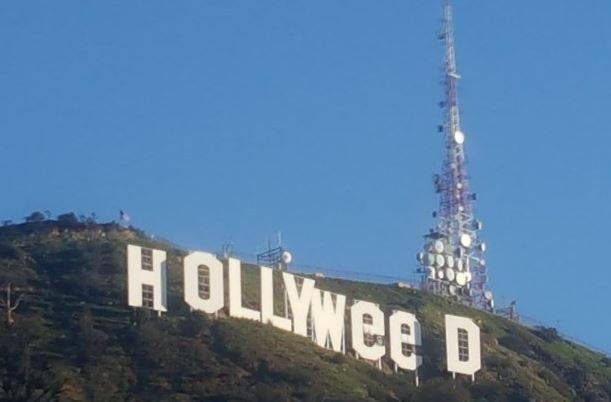 Durante la notte di Capodanno "Hollywood" diventa "Hollyweed"