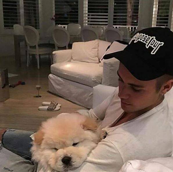 Bufera su Justin Bieber: "Ha abbandonato il suo cane malato"