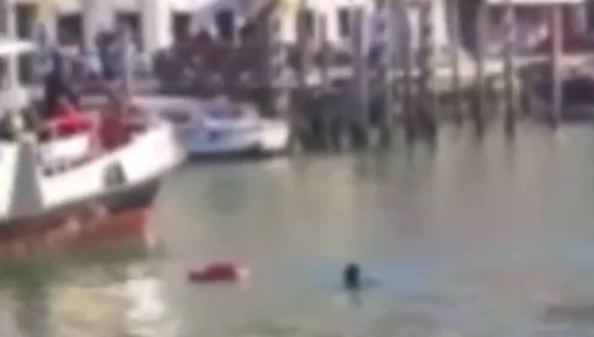 Venezia, immigrato suicida nel Canal Grande. Nessuno si tuffa per salvarlo