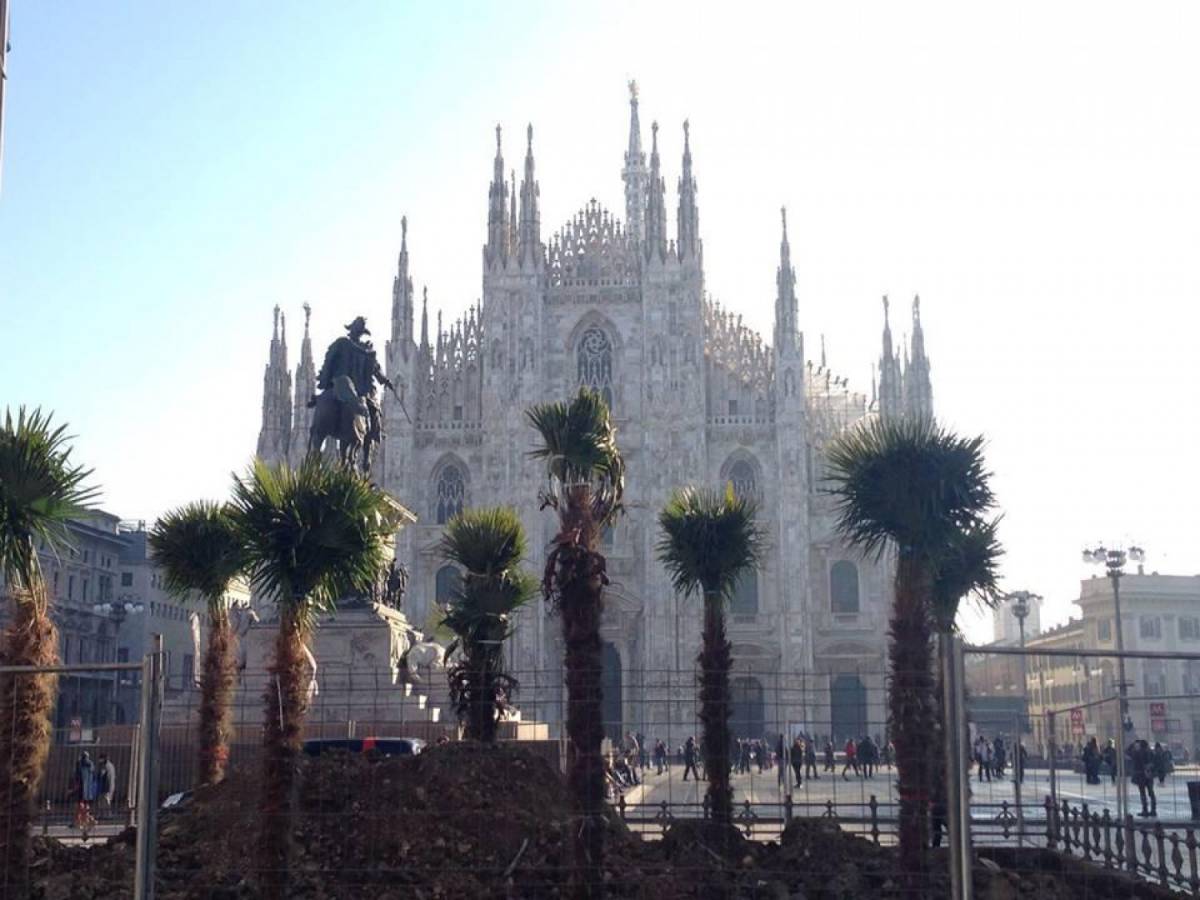 Spuntano le palme in Duomo E Milano si sveglia africana