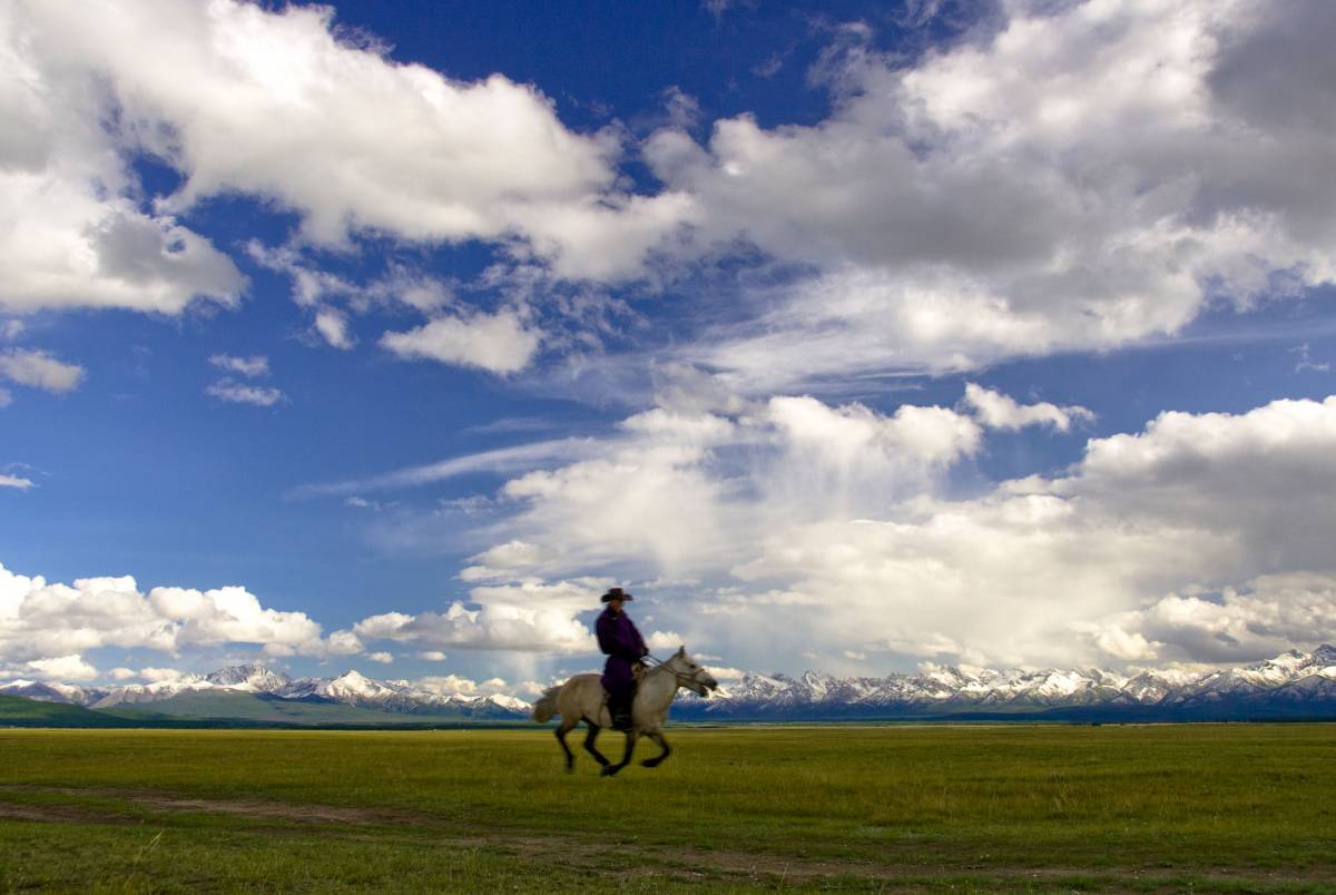 La Mongolia in crisi chiede soldi (e cavalli) al popolo