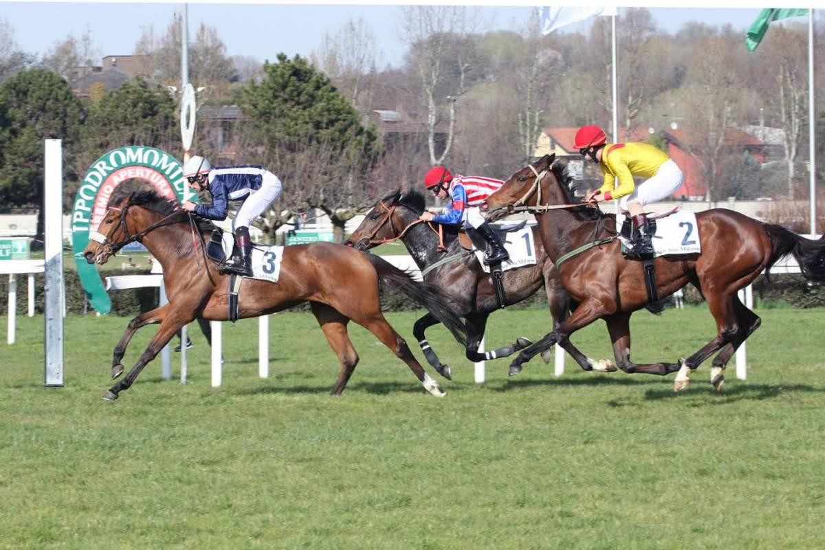 Con il cannone della "Voloire" si apre la stagione del galoppo all'Ippodromo