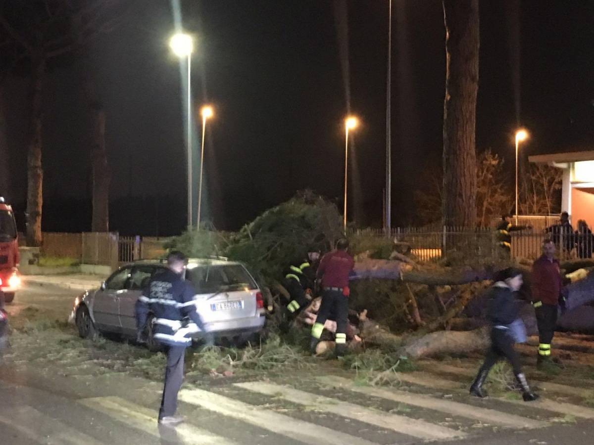 Roma, pino di 20 metri cade su auto: un ferito grave