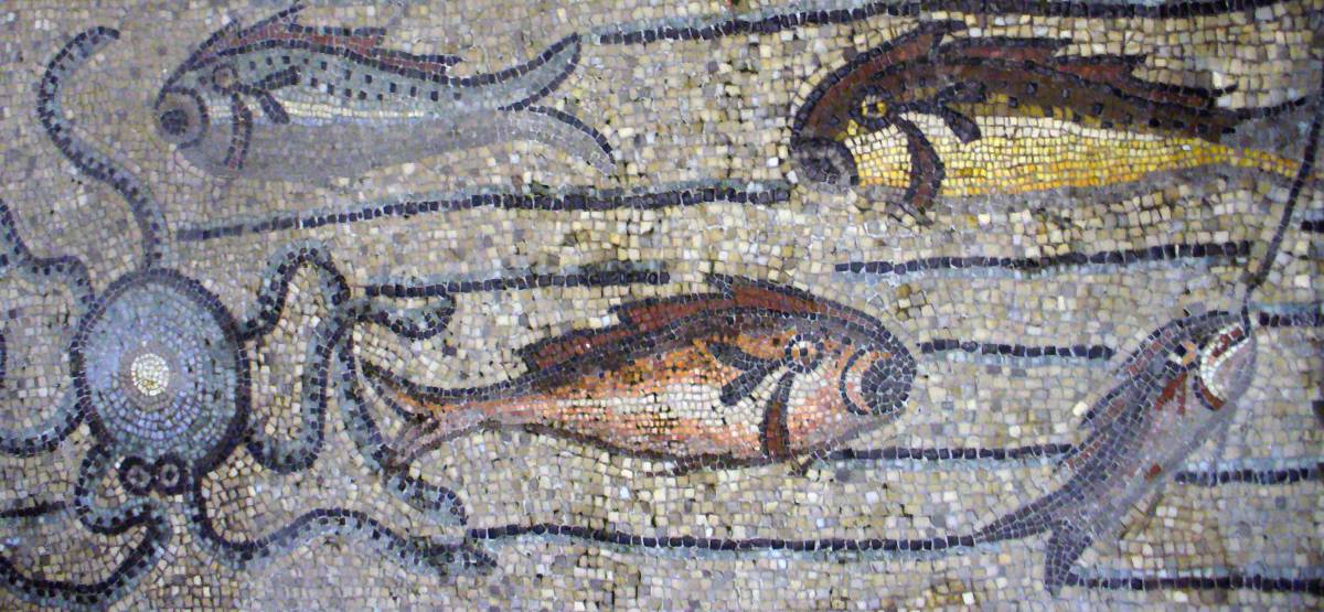 Dalla Bibbia a Vishnu: così il pesce attraversa la storia