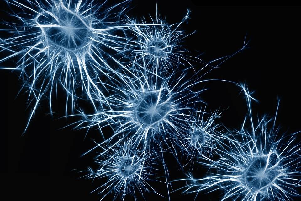 Creata sinapsi capace di apprenere. I robot avranno cervello umano