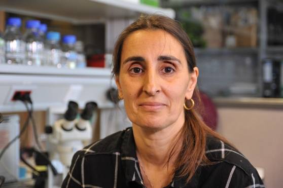 Scopre bruco mangia-plastica: ora la biologa italiana è disoccupata