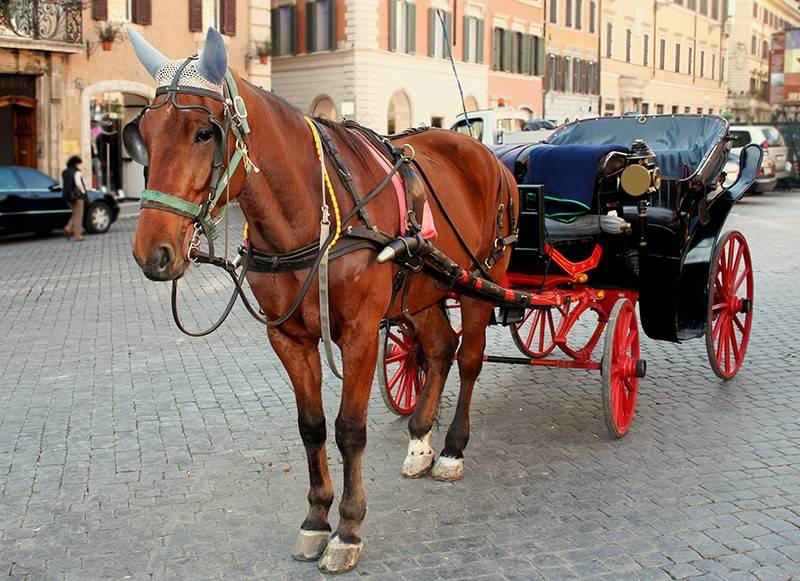Roma, stop alle botticelle: quelle elettriche sostituiranno i cavalli