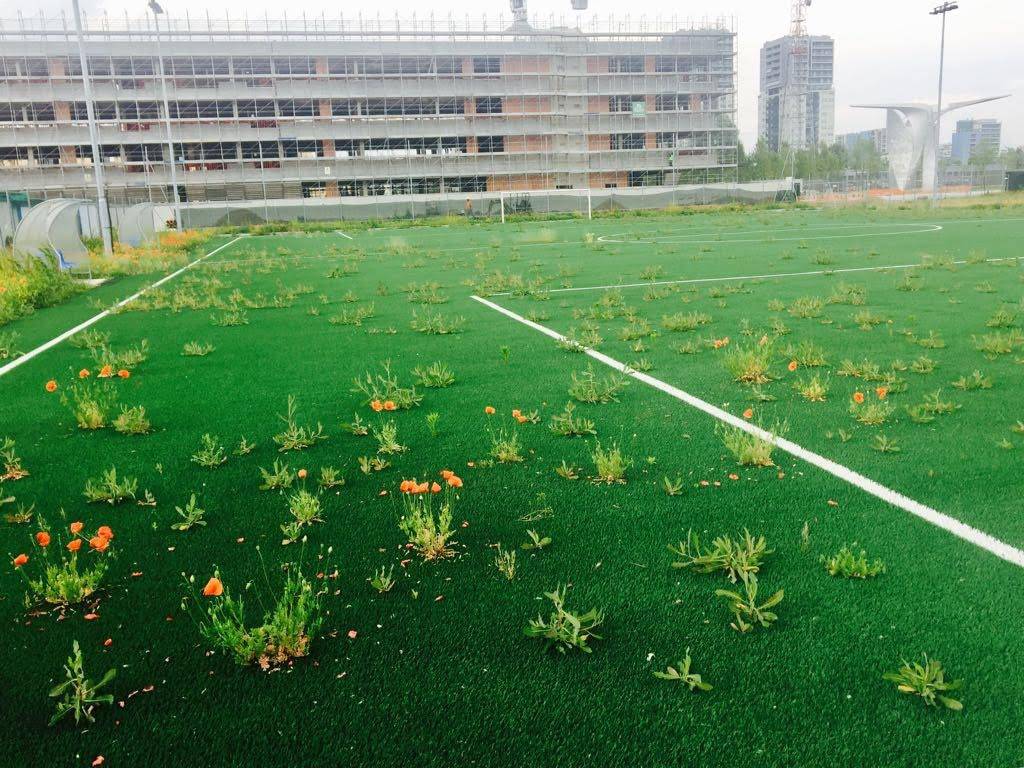 Campo da calcio pronto Ma i giovani aspettano il collaudo del Comune