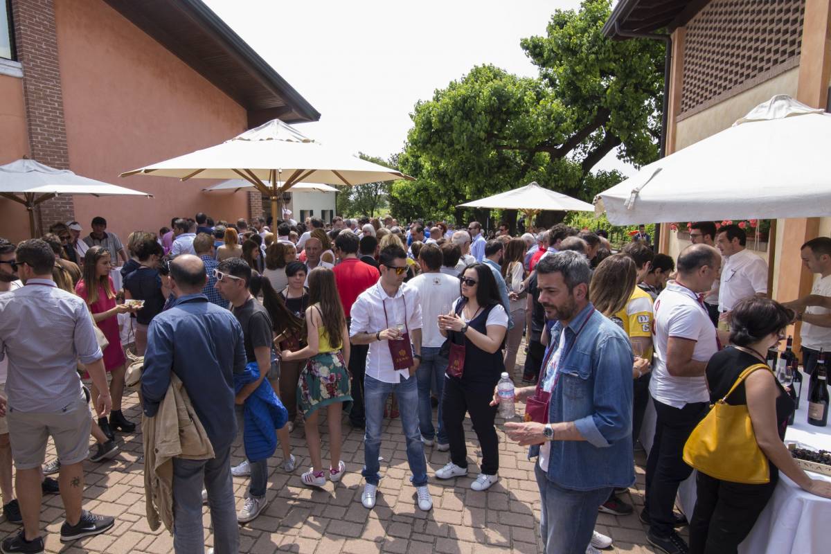 In città e fuoriporta tra concerti e cantine