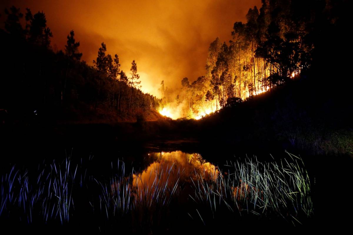 Incendio in Portogallo, gravi falle nel sistema dei soccorsi