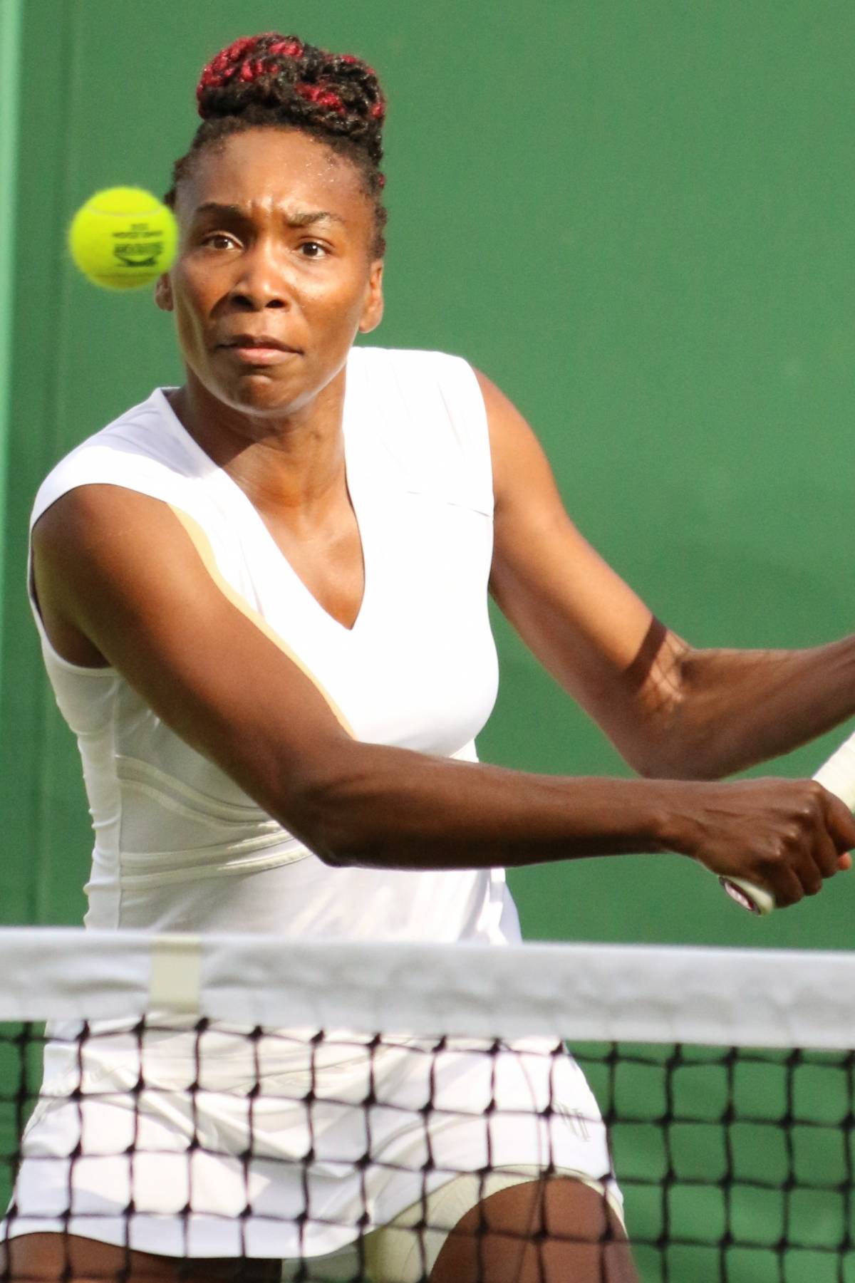 Venus Williams coinvolta in un incidente stradale mortale