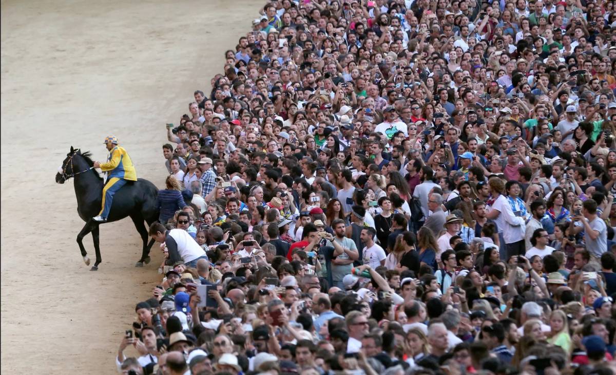 Palio di Siena, un cavallo trovato positivo al doping