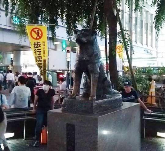Stirpe nobile e leale,  c'è una statua in Giappone