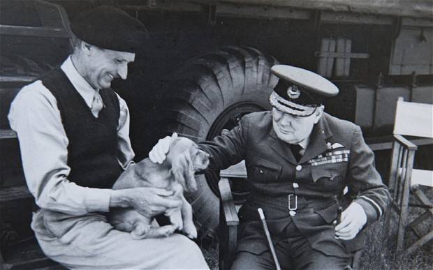 Churchill ordinò: salvate gli animali