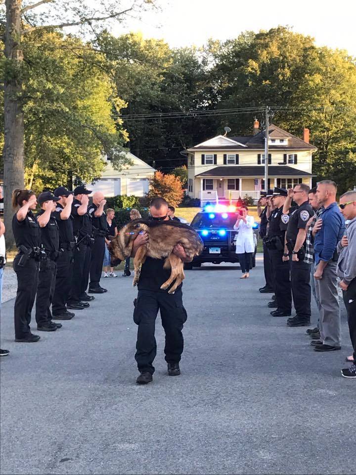 L'ultimo straziante addio al cane poliziotto malato di cancro