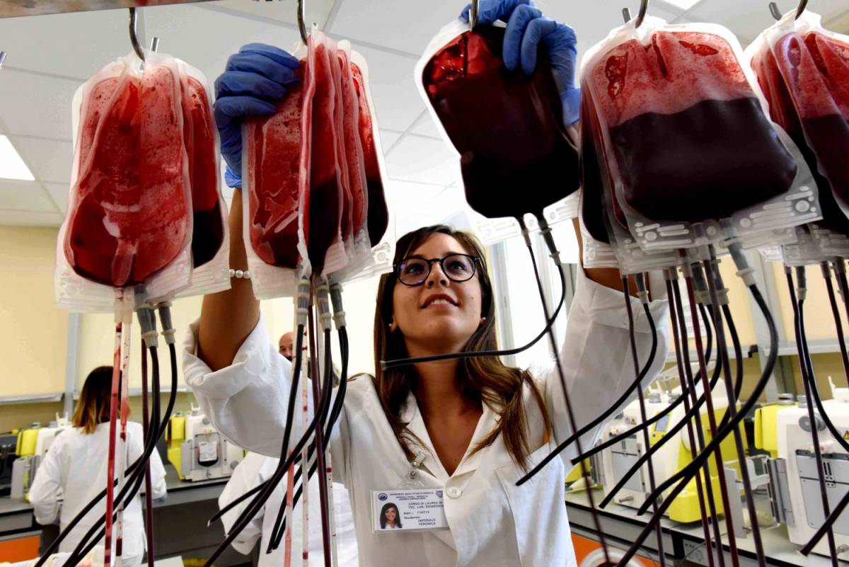 Chikungunya, l'Italia dà il sangue alla Capitale