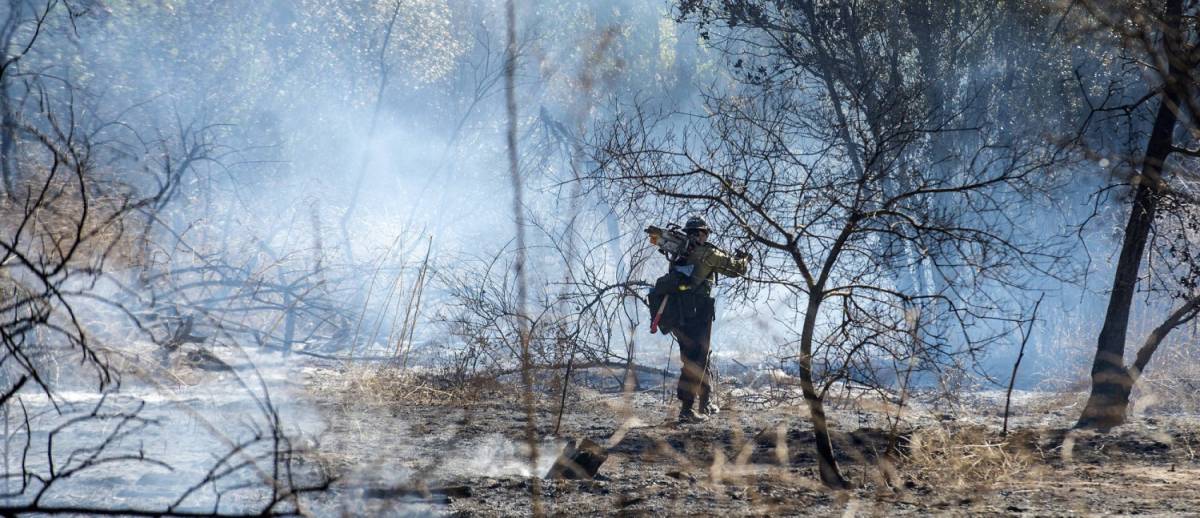 In California 31 morti per gli incendi in una sola settimana