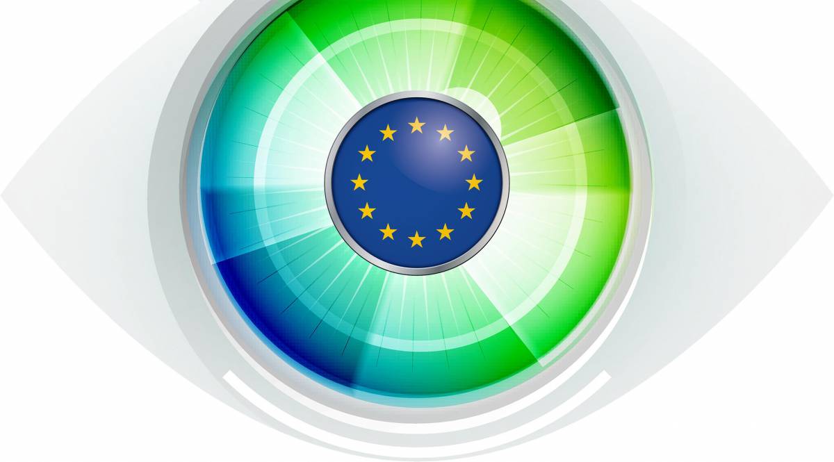 Identità unica digitale È il Grande Fratello dell'Unione Europea