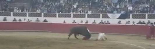 Messico, torero colpito all'inguine durante la corrida