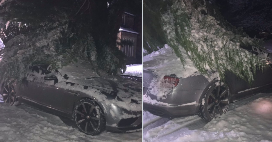 Owen, un albero cade sulla sua auto di lusso da 150mila euro