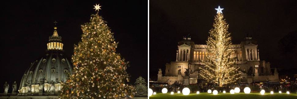 "Spelacchio" contro "Rigoglio": il confronto tra gli alberi di Natale è impietoso