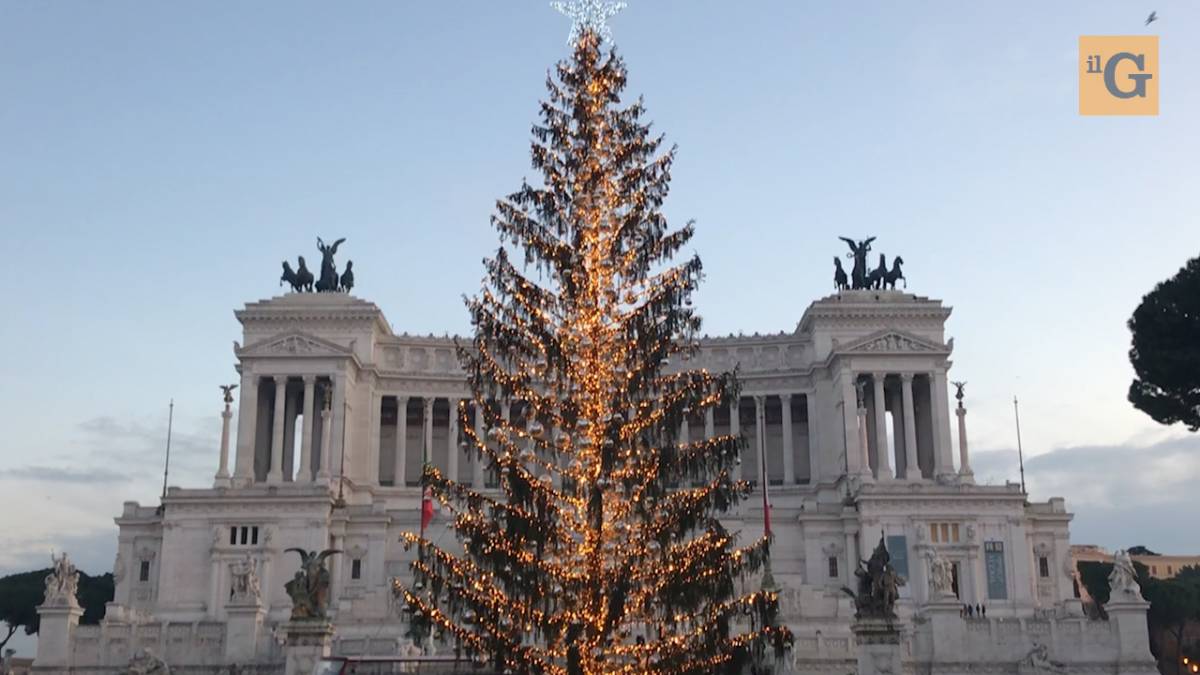Roma, Spelacchio potrebbe finire in un museo
