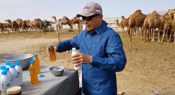 Politico islamico beve la pipì di cammello: "Fa bene alla salute"