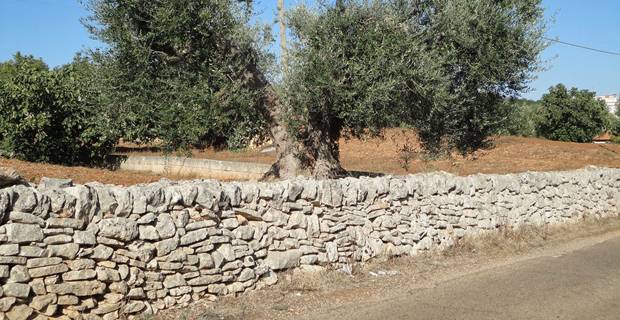 Melendugno, i No Tap danneggiano gli antichi muri a secco