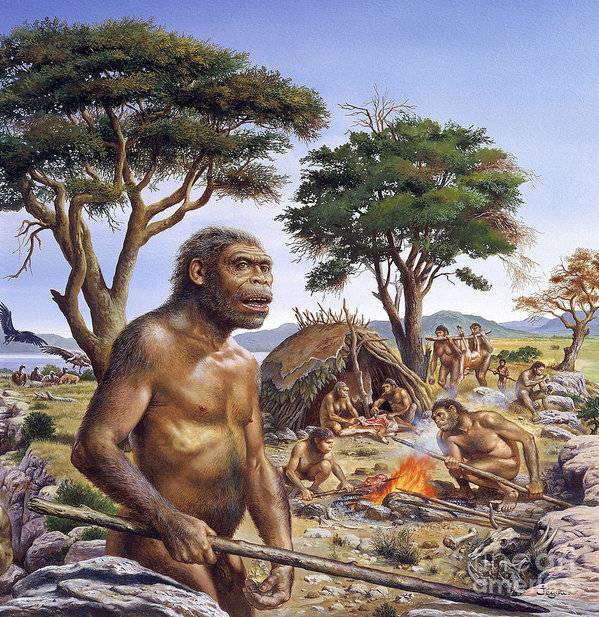 L'Homo erectus prese la via del mare