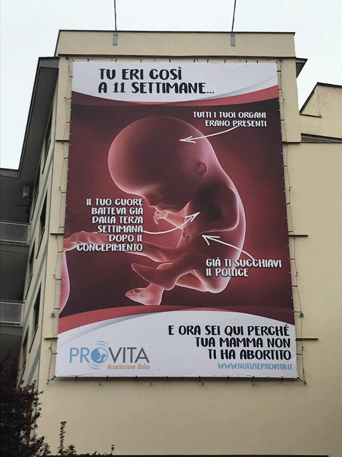 Non si censura la libertà di un feto